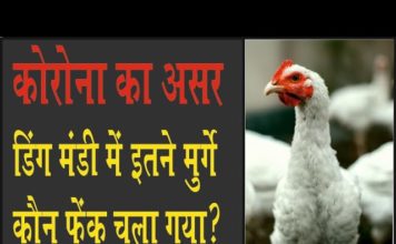 ये कोरोना साइड इफ़ेक्ट है: गांव में मरे हुए मुर्गे फेंक कर चला गया, गांव में रोष!