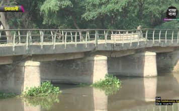 हरियाणा में राजस्थान कैनाल का पुल धंसा, कभी भी हो सकता है हादसा!