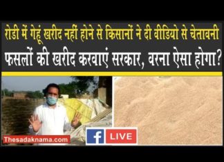 सिरसा में यहां नहीं बन सका खरीद केंद्र इसलिए किसान ऐसी बातें बोल रहे हैं!