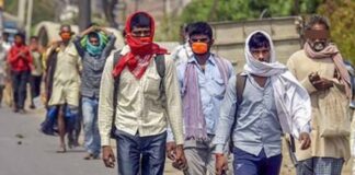 यह ऐप प्रवासी और दिहाड़ी मजदूरों को मुफ्त में दिलाएगा रोजगार