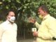 गुड न्यूज़: सिरसा के किसानों ने इस बार नहीं जलाई पराली, कृषि विभाग ने भी माना है! जानिए कैसे?