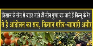 Agriculture