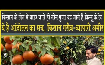 किसान के खेत से बाहर जाते ही किन्नू के तीन गुणा रेट, यही है किसान आंदोलन का सच! Agriculture