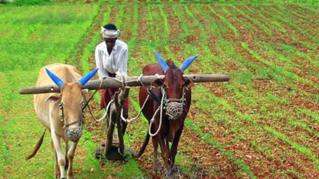 Haryana Agriculture