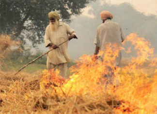 Haryana, Punjab, Delhi