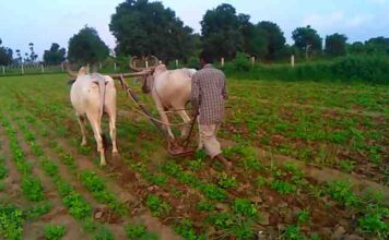 हरियाणा के इन तीन गांवों के किसानों ने सरकार को जमीन देने का किया फैसला, जानिये क्या है योजना ?