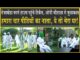 तेजाखेड़ा फार्म पहुंचे Rakesh Tikait, पूर्व सीएम ओमप्रकाश चौटाला से मिले, बोले: हमारा पीढ़ियों का नाता