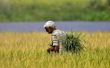 Haryana Government