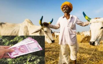 Good News Farmer Installment account