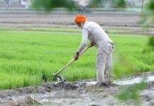 Farmer Agriculture Loan