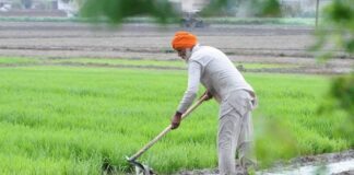 Farmer Agriculture Loan