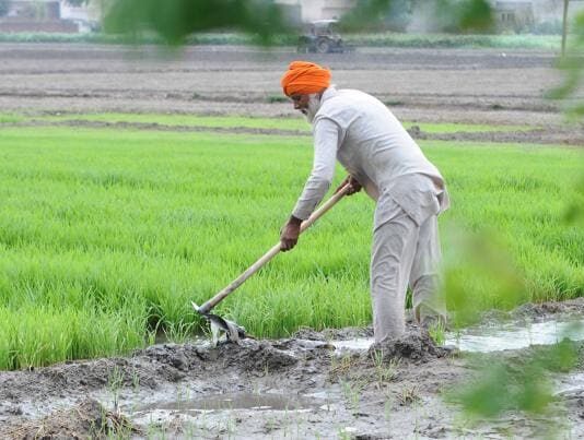 Farmer Agriculture Loan