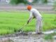 Farmer Agriculture Loan