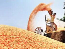 Agriculture, Moong Price