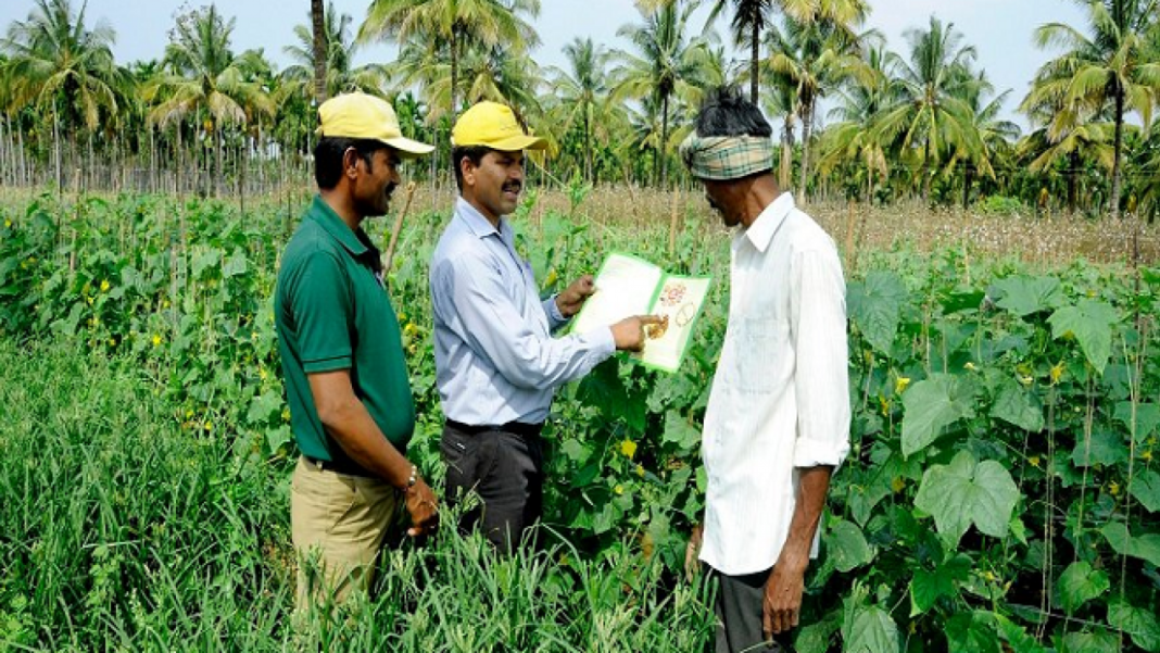 Farmer Hard Work Production