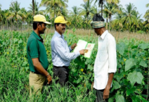 Farmer Hard Work Production