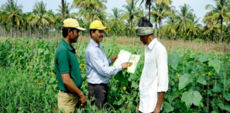 Farmer Hard Work Production