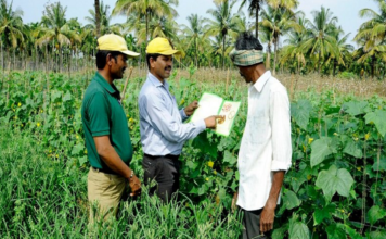 किसानों की मेहनत रंग ला रही, देश में पिछले साल के मुकाबले रिकॉर्ड 1.1 करोड़ टन से अधिक खाद्यान उत्पादन का अनुमान। Farmer Hard Work Production