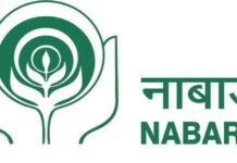 Haryana International Horticulture Market NABARD