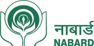 Haryana International Horticulture Market NABARD