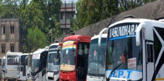 Government, Plan Bus Service