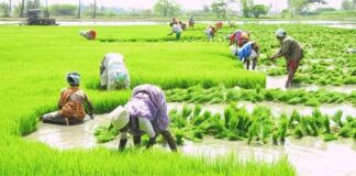 Alert for farmers, get registered for selling Kharif crops