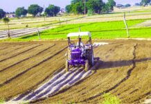 10 Lakh Hectares Herbal Farming Government Working