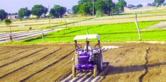 10 Lakh Hectares Herbal Farming Government Working