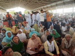 Farmer Grain Market Gathered