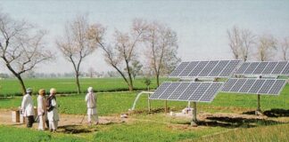 Farmer Selling Electricity Earn Money