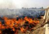 Farmer Stubble Burning