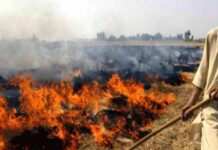 Farmer Stubble Burning