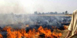 Farmer Stubble Burning