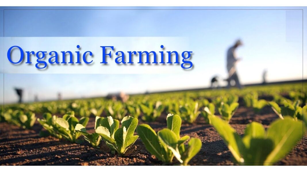 Organic Farming