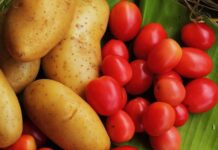 Tomato & Potato Price