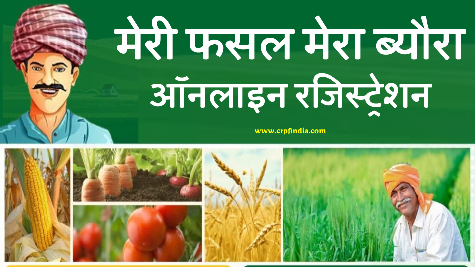 Crop Registered Crop Registered