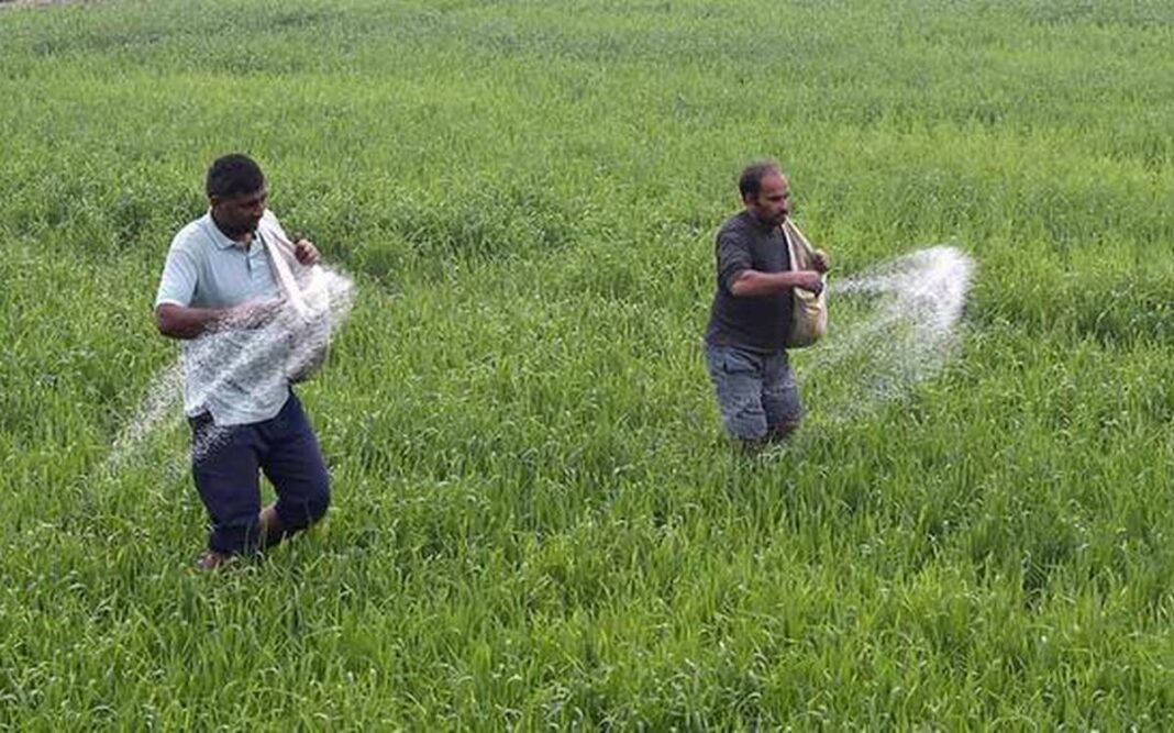 Government Farmer Fertilizer Meeting