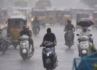 Rain