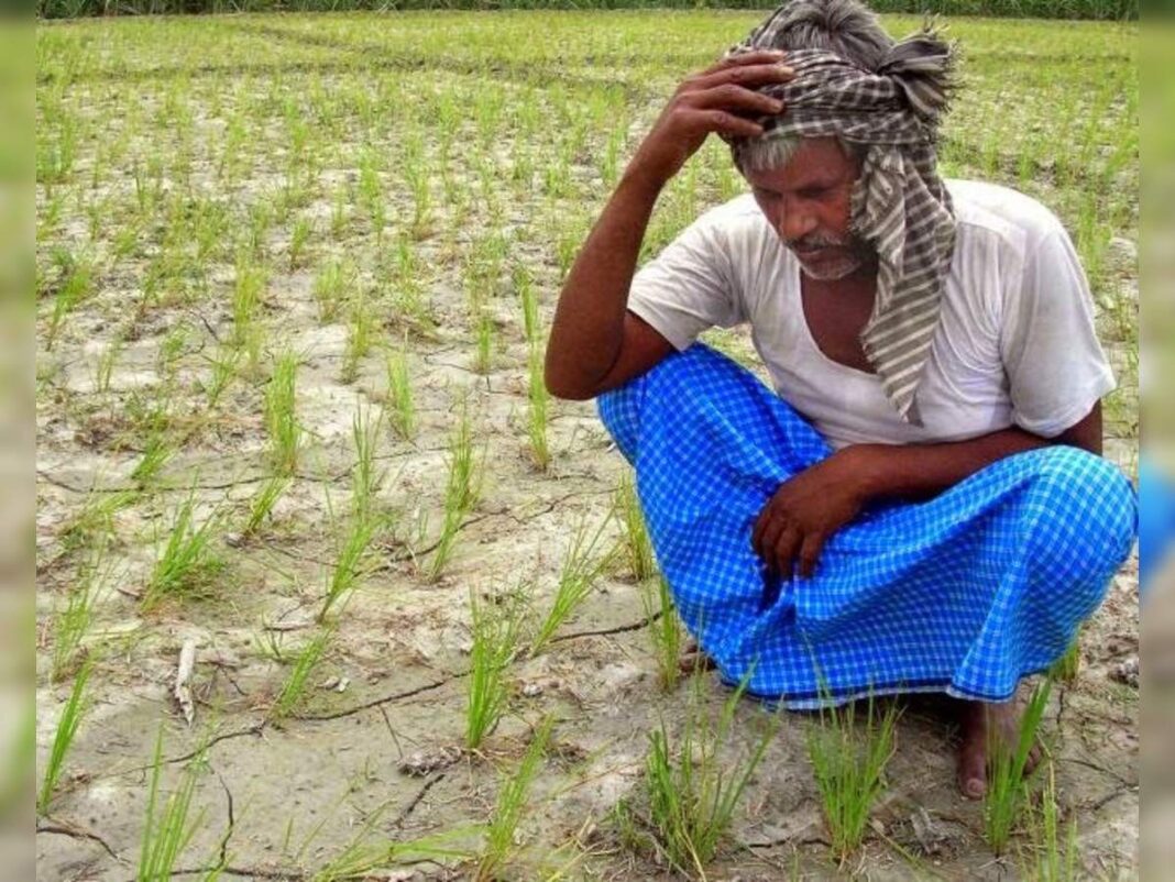 Farmer Monsoon Rain Alert