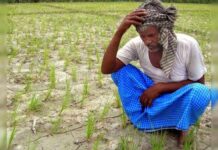 Farmer Monsoon Rain Alert