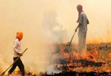 Agriculture Science Centre Stubble Burning