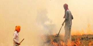 Agriculture Science Centre Stubble Burning