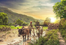 Weather Agriculture Farmer Alert