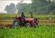 Farmer Agriculture