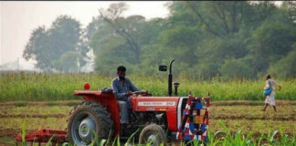 Farmer Agriculture