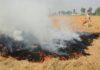 Punjab Stubble Burning