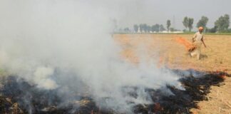 Punjab Stubble Burning