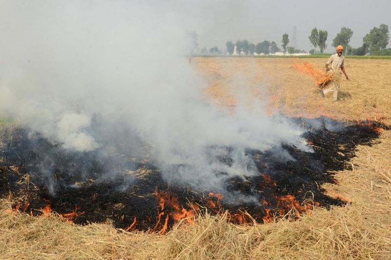 Punjab Stubble Burning Punjab Stubble Burning