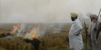 Stubble Burning