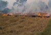 Stubble Burning